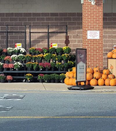 Severna Park Marketplace - Severna Park, MD