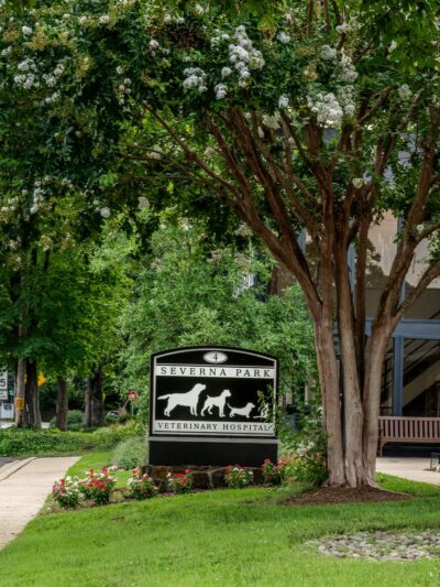Severna Park Veterinary Hospital - Severna Park, MD