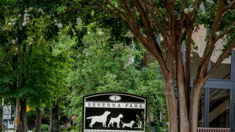 Severna Park Veterinary Hospital - Severna Park, MD