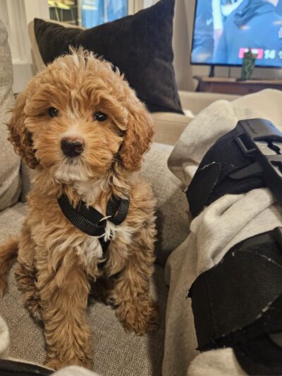 Severna Park Veterinary Hospital - Severna Park, MD