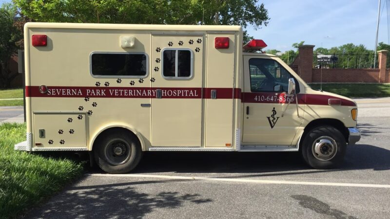 Severna Park Veterinary Hospital - Severna Park, MD