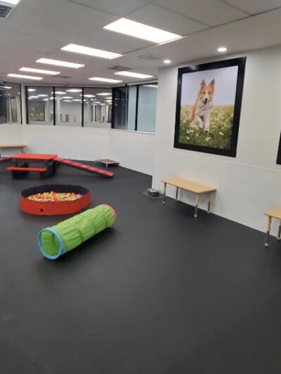 The Pup Camp - Severna Park, MD