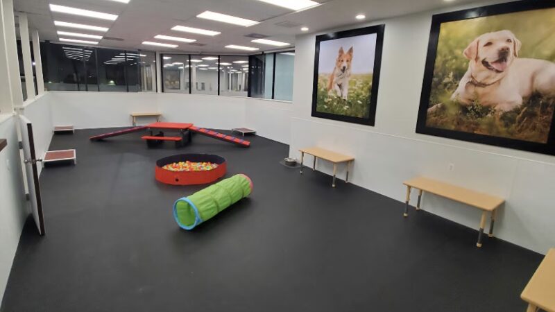 The Pup Camp - Severna Park, MD