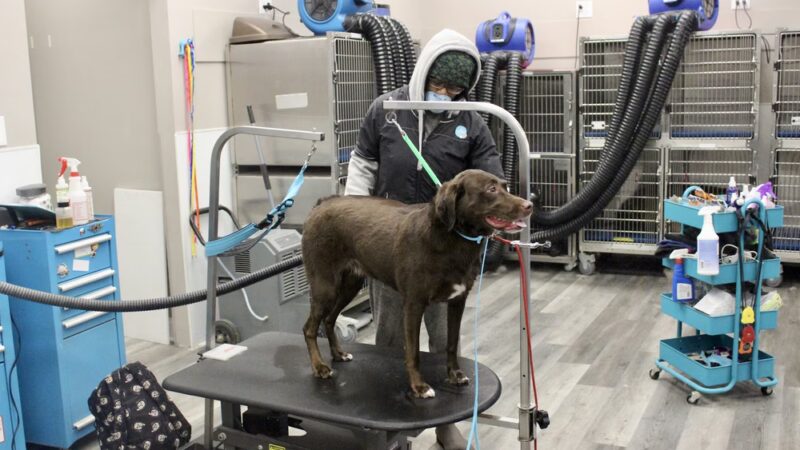 The Sudsy Puppy - Severna Park, MD