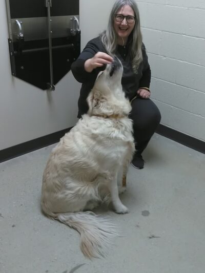 Vetco Total Care Animal Hospital - Severna Park, MD