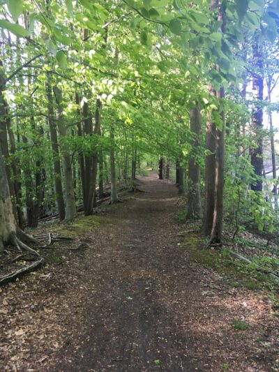 Ceres Park - Sewell, NJ