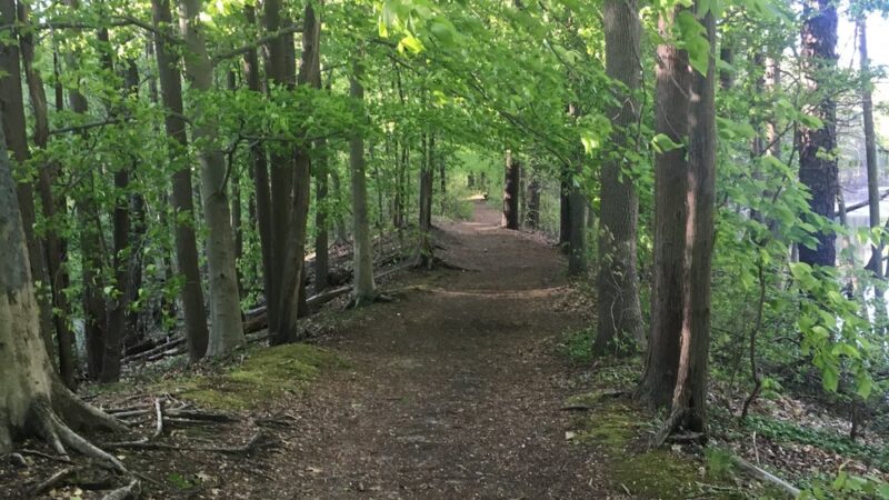 Ceres Park - Sewell, NJ
