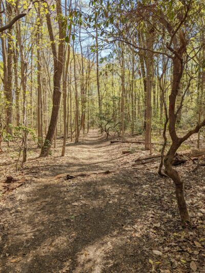 Ceres Park - Sewell, NJ