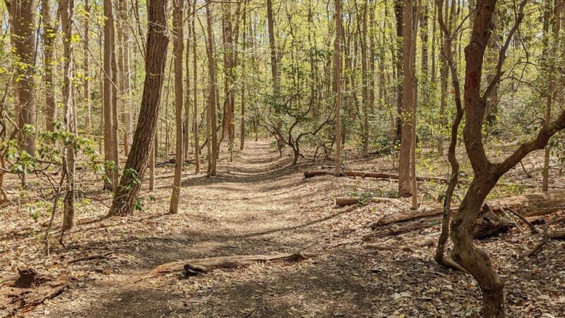 Ceres Park - Sewell, NJ