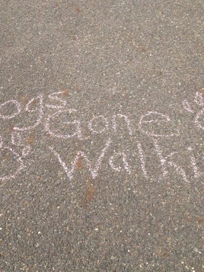 Dogs Gone Walking LLC - Sewell, NJ