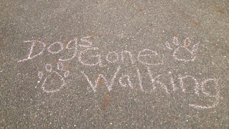 Dogs Gone Walking LLC - Sewell, NJ