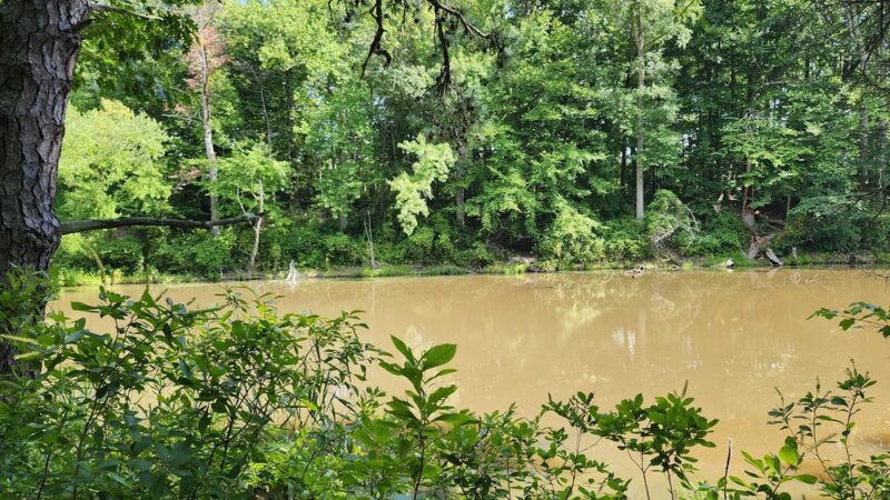 Frank Stewart Estate - Sewell, NJ
