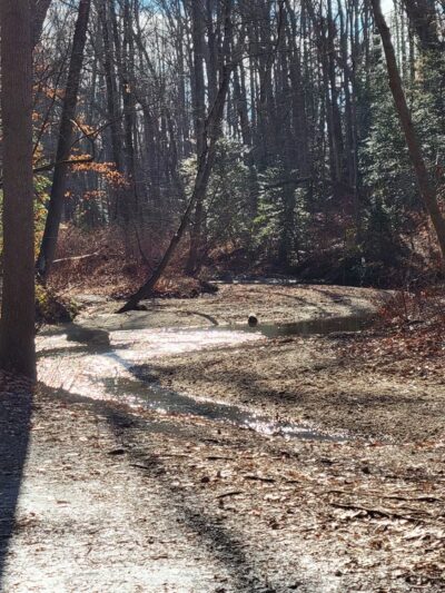 Frank Stewart Estate - Sewell, NJ