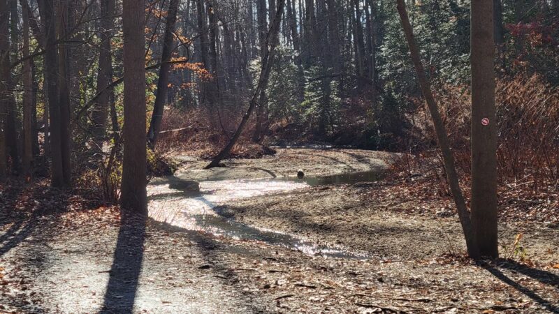 Frank Stewart Estate - Sewell, NJ