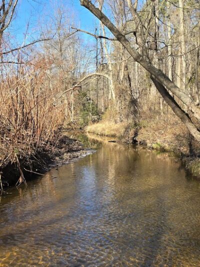 Frank Stewart Estate - Sewell, NJ