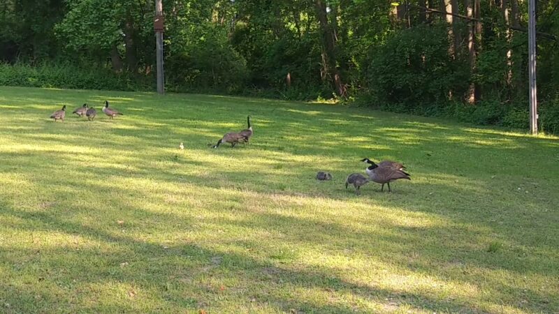 James G. Atkinson Memorial Park - Sewell, NJ