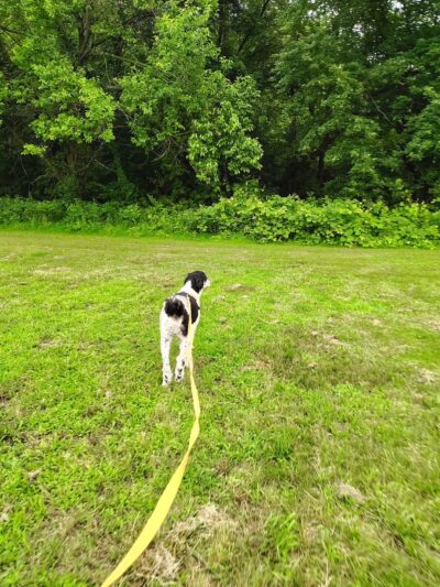 Quay Park - Sewell, NJ
