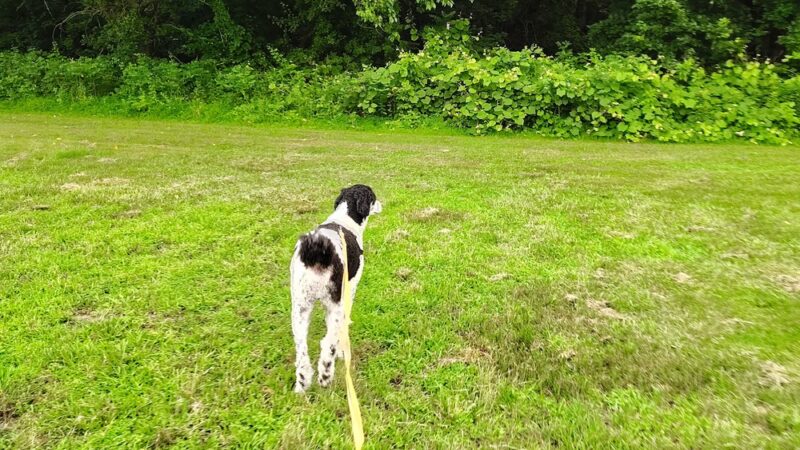 Quay Park - Sewell, NJ