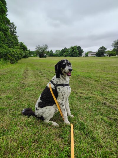 Quay Park - Sewell, NJ