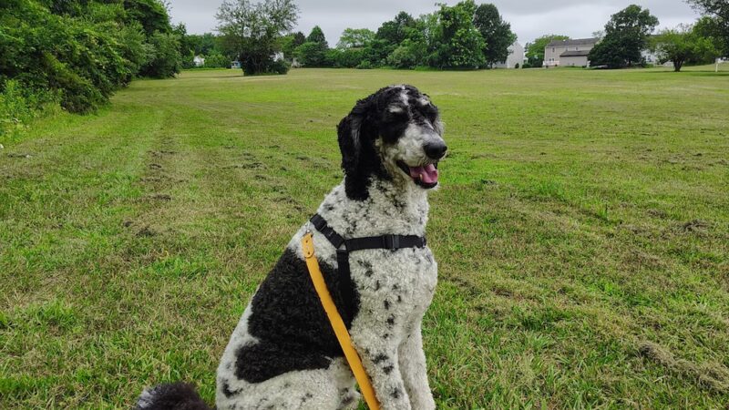 Quay Park - Sewell, NJ