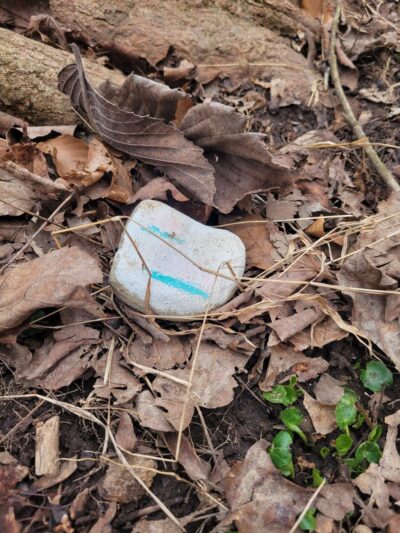 Devil's Hollow Conservation Area - Sewickley, PA