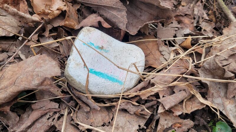 Devil's Hollow Conservation Area - Sewickley, PA