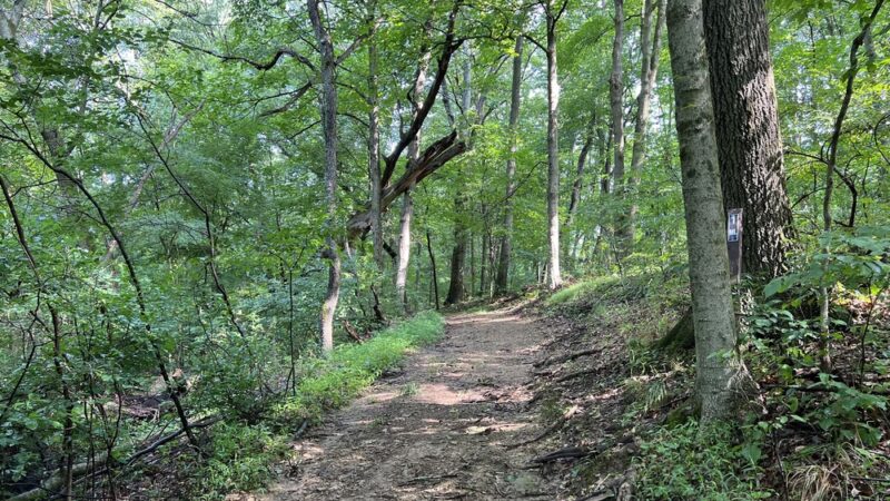 Linbrook Park - Sewickley, PA