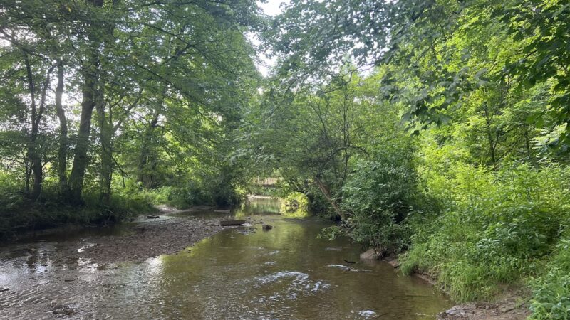 Linbrook Park - Sewickley, PA