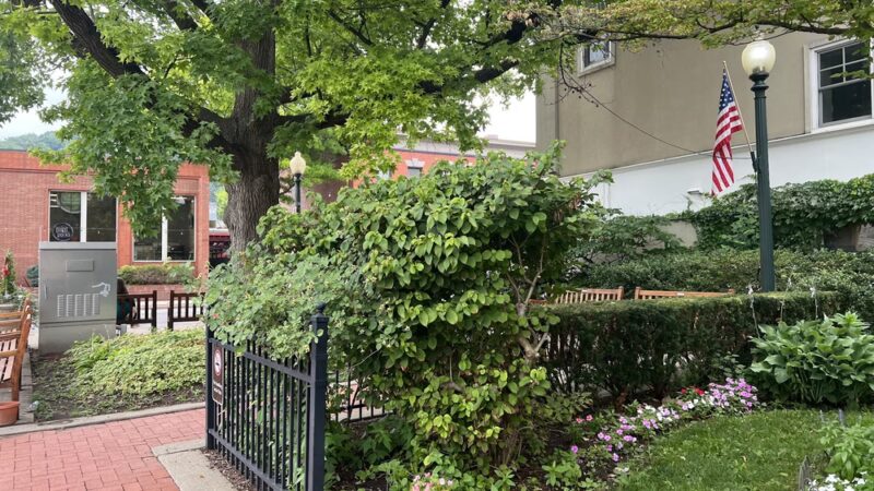 Wolcott Park - Sewickley, PA