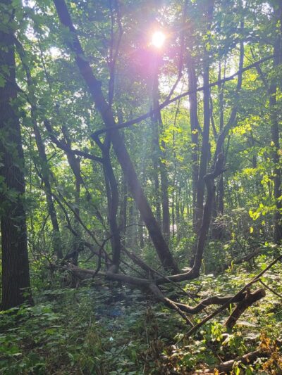 Shabbona Lake State Park - Shabbona, IL