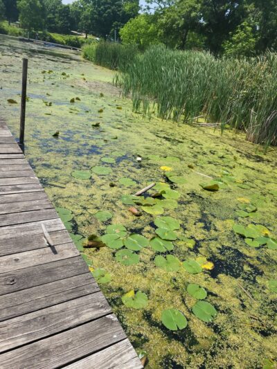 Shabbona Lake State Park - Shabbona, IL