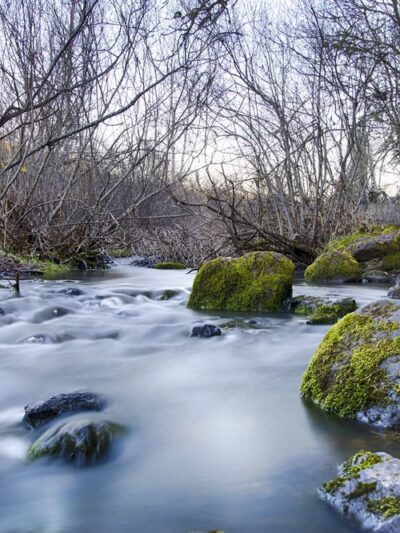 Aunt Caroline's Park - Shady Cove, OR