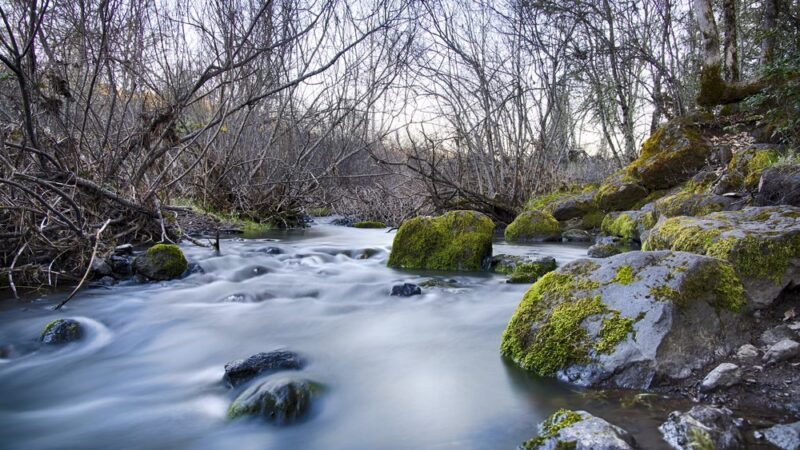 Aunt Caroline's Park - Shady Cove, OR
