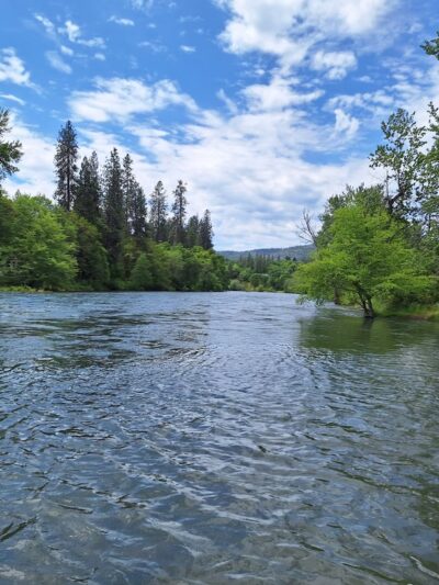SHADY COVE PARK - Shady Cove, OR