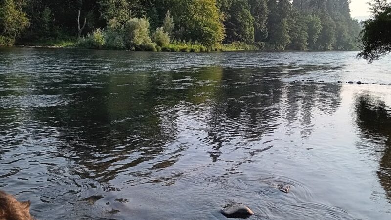 SHADY COVE PARK - Shady Cove, OR