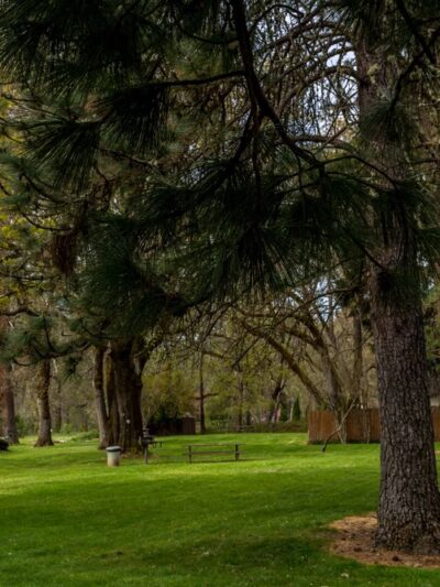 Upper Rogue River Park - Shady Cove, OR