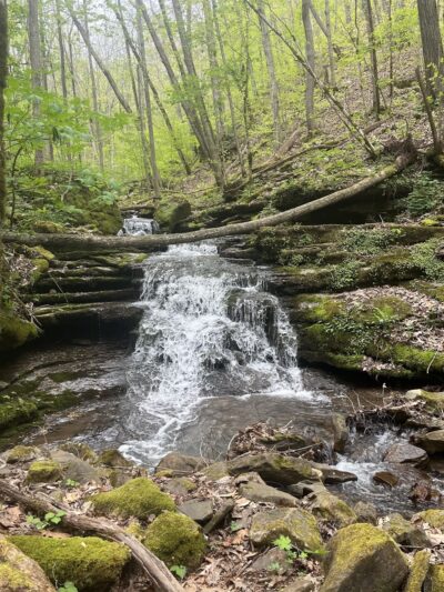 Big Branch Trail - Shady Spring, WV