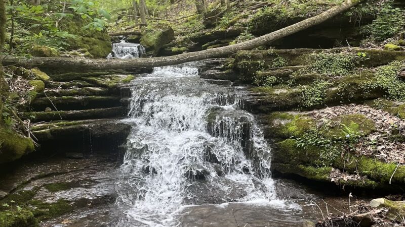 Big Branch Trail - Shady Spring, WV