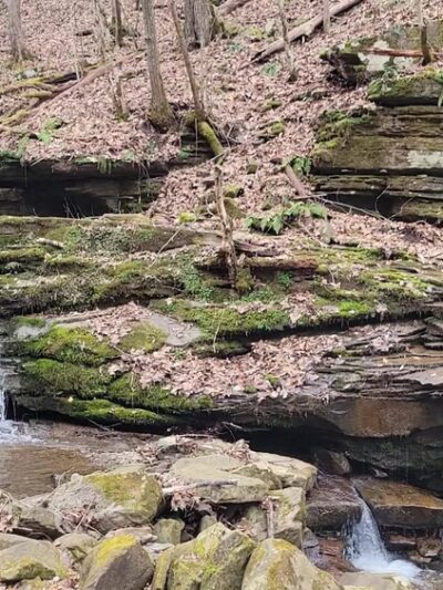 Big Branch Trail - Shady Spring, WV