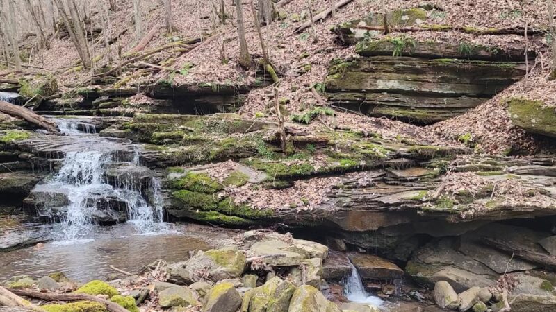 Big Branch Trail - Shady Spring, WV