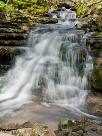 Big Branch Trail - Shady Spring, WV