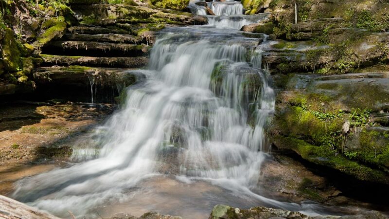 Big Branch Trail - Shady Spring, WV