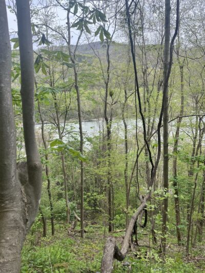 Big Branch Trail - Shady Spring, WV