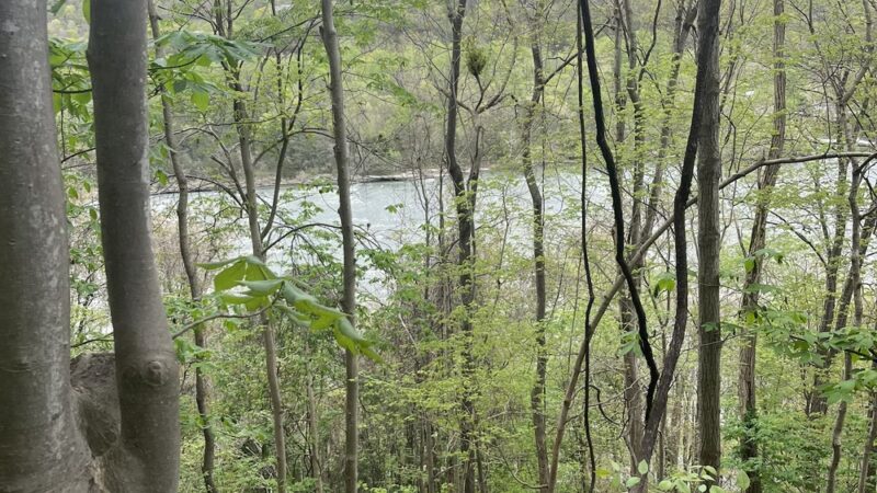 Big Branch Trail - Shady Spring, WV