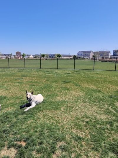 Farm Park - Shafter, CA