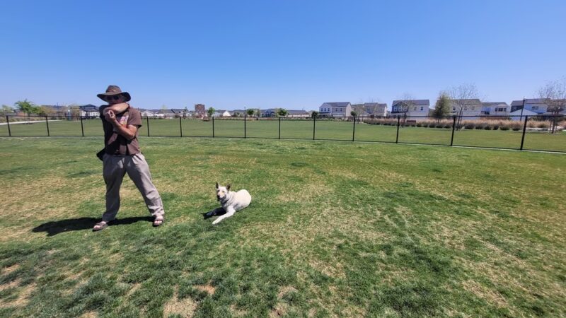 Farm Park - Shafter, CA