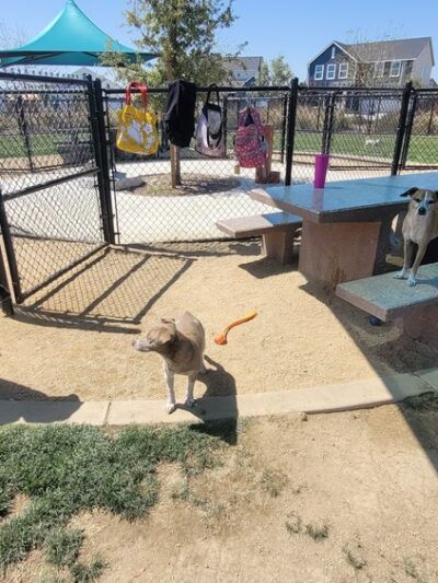 Farm Park - Shafter, CA