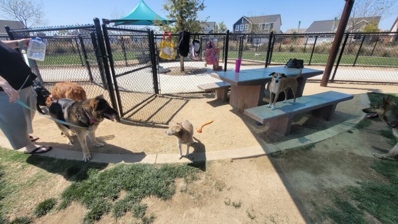 Farm Park - Shafter, CA