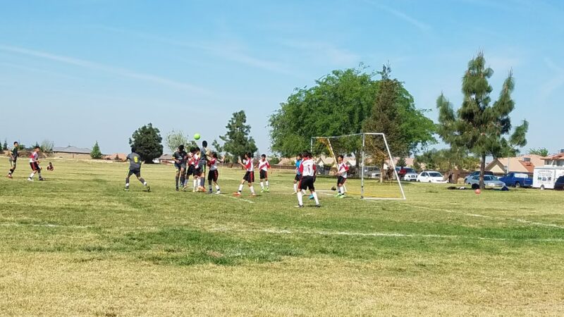 Veterans Park - Shafter, CA
