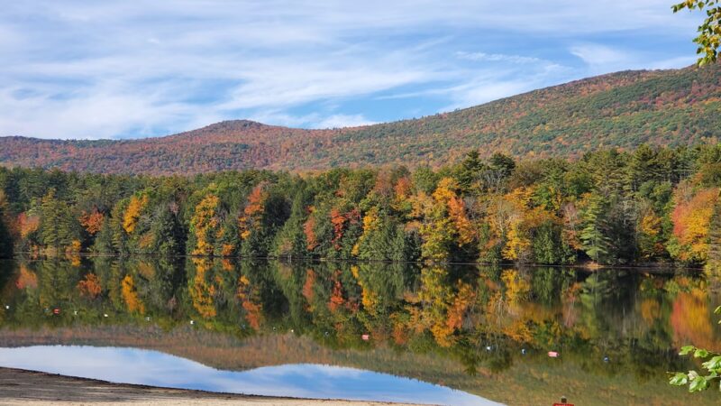 Lake Shaftsbury State Park - Shaftsbury, VT